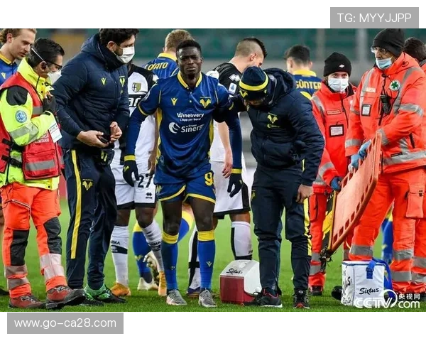 维罗纳1-2帕尔马，佩莱格里诺再演梅开二度